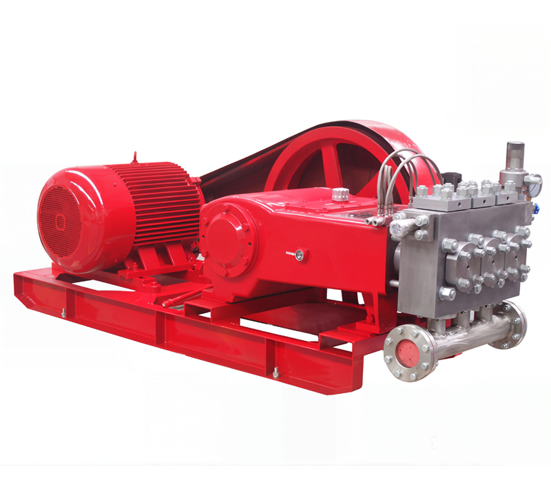 CO2 Injection Plunger Pump Custom