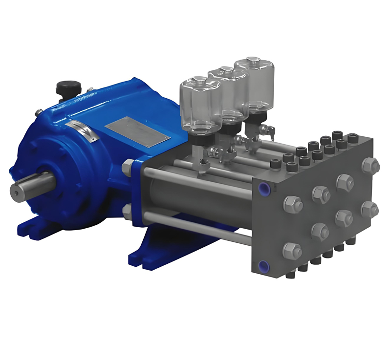 Special Injection Plunger Pump Custom